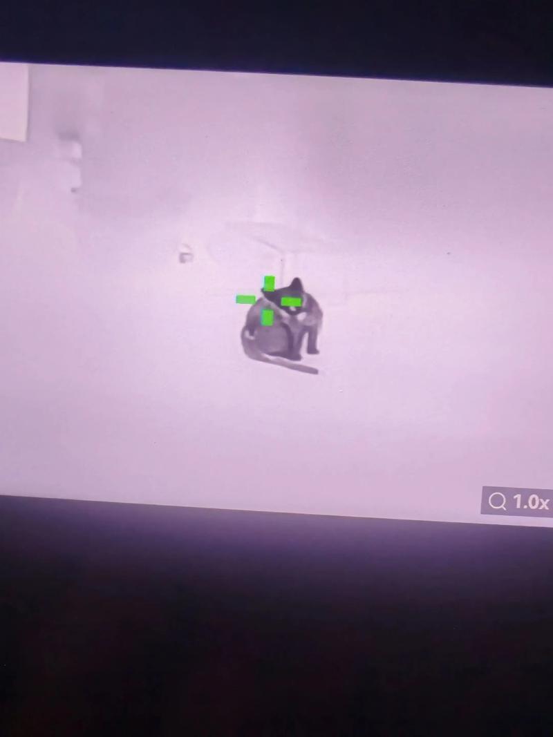 春季赏樱，你需要一份穿搭出片指南【暗区突围辅助卡盟】